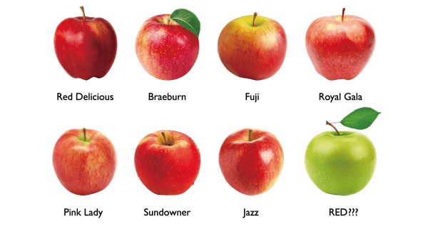 01-figure1-different-varieties-apples